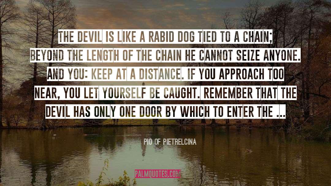 Pio Of Pietrelcina Quotes: The devil is like a