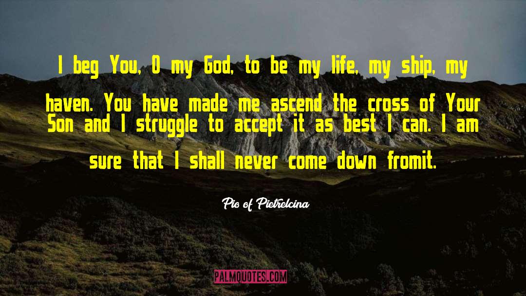 Pio Of Pietrelcina Quotes: I beg You, O my