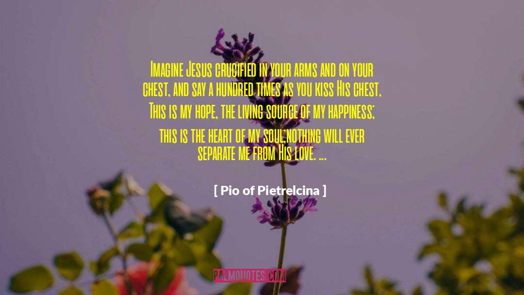Pio Of Pietrelcina Quotes: Imagine Jesus crucified in your