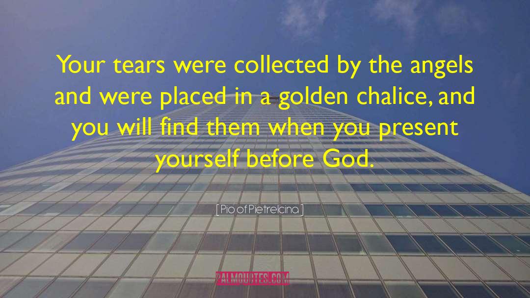 Pio Of Pietrelcina Quotes: Your tears were collected by