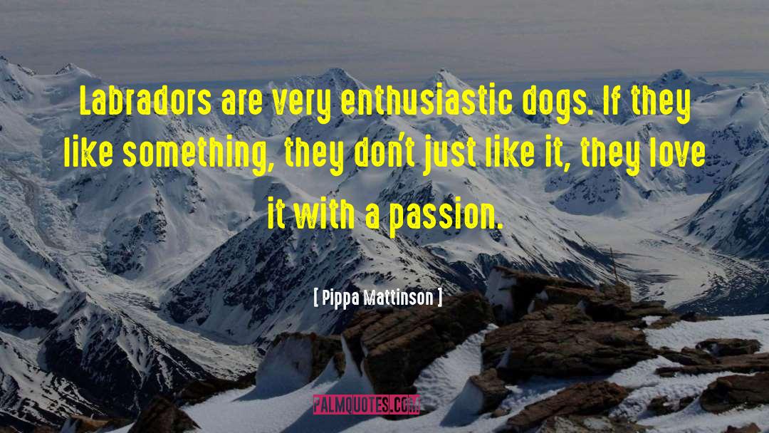 Pippa Mattinson Quotes: Labradors are very enthusiastic dogs.