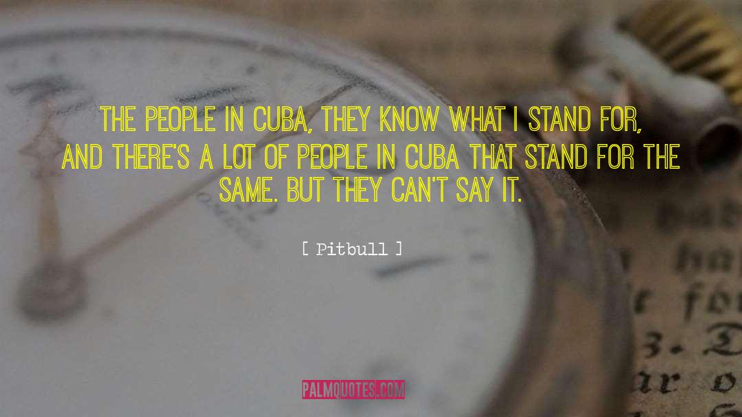 Pitbull Quotes: The people in Cuba, they