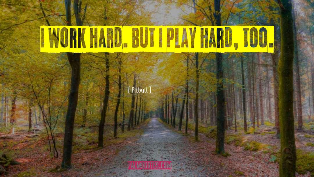 Pitbull Quotes: I work hard. But I
