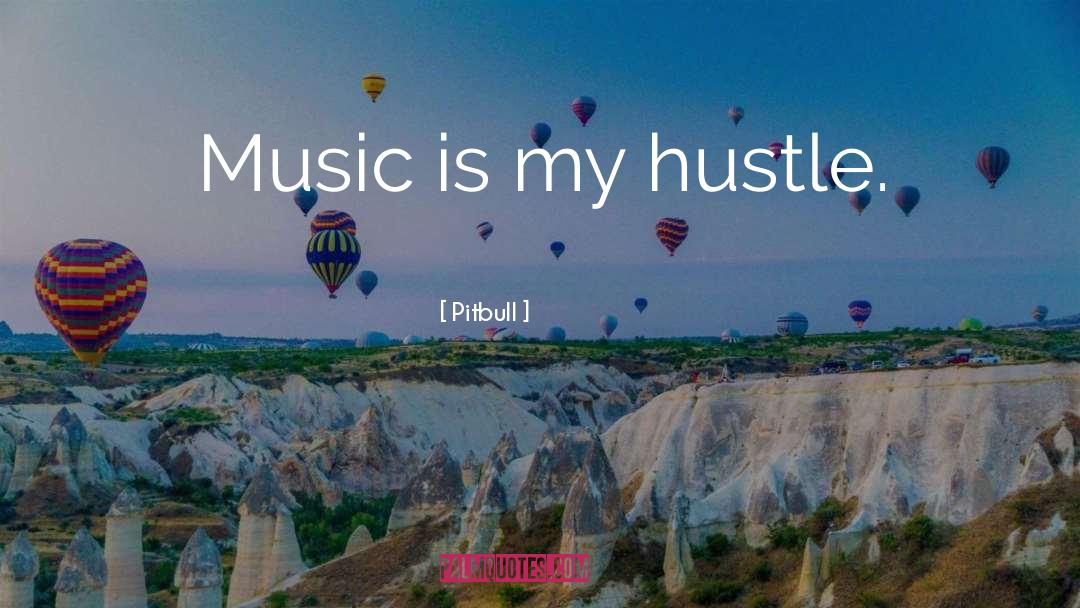 Pitbull Quotes: Music is my hustle.