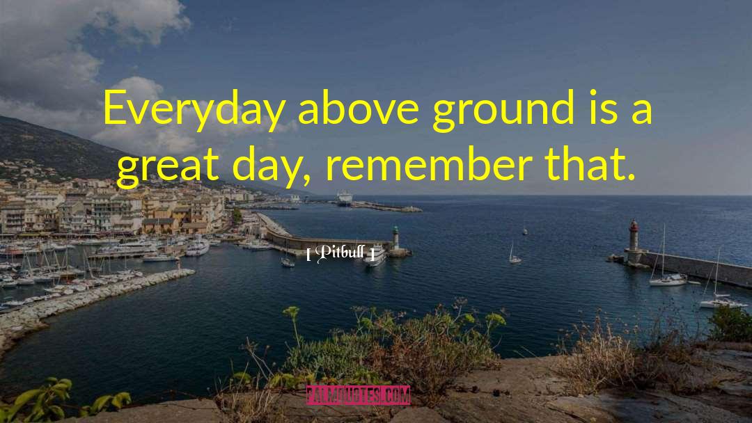 Pitbull Quotes: Everyday above ground is a