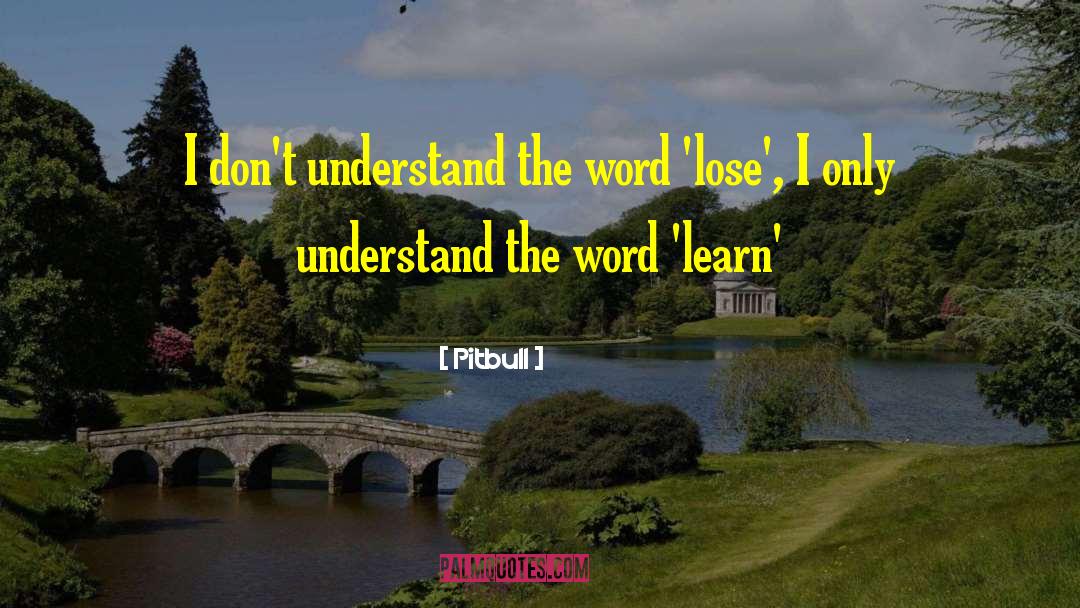 Pitbull Quotes: I don't understand the word