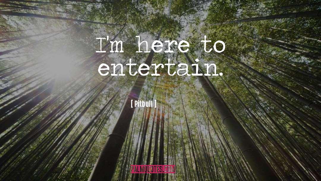 Pitbull Quotes: I'm here to entertain.