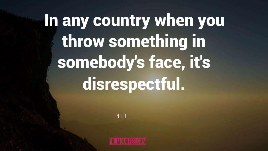 Pitbull Quotes: In any country when you