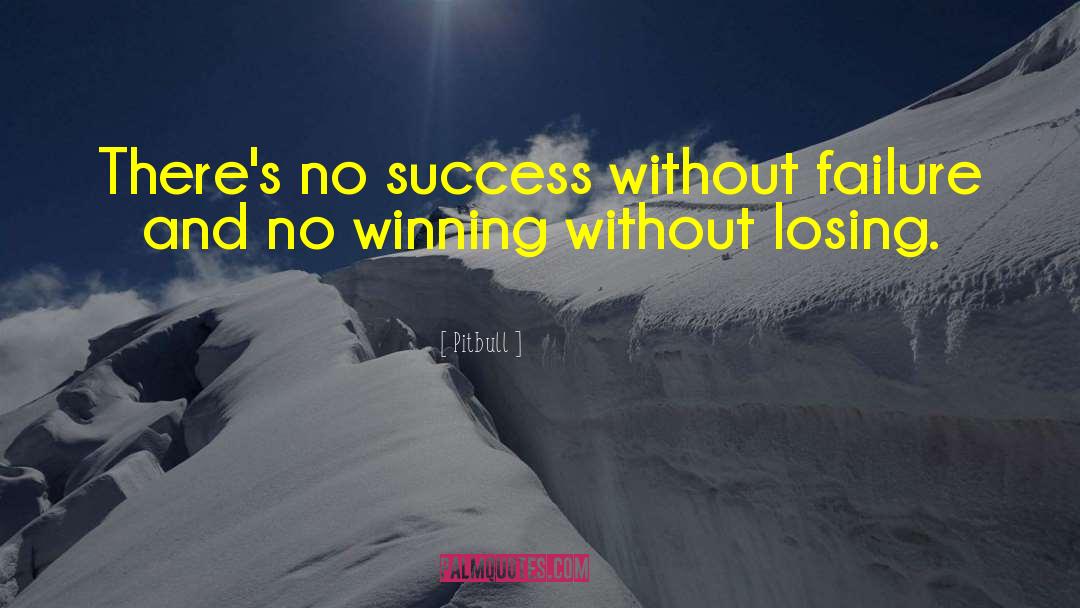 Pitbull Quotes: There's no success without failure
