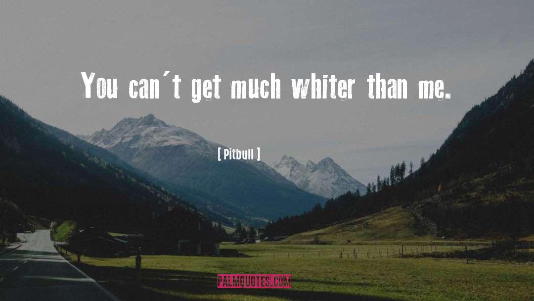 Pitbull Quotes: You can't get much whiter