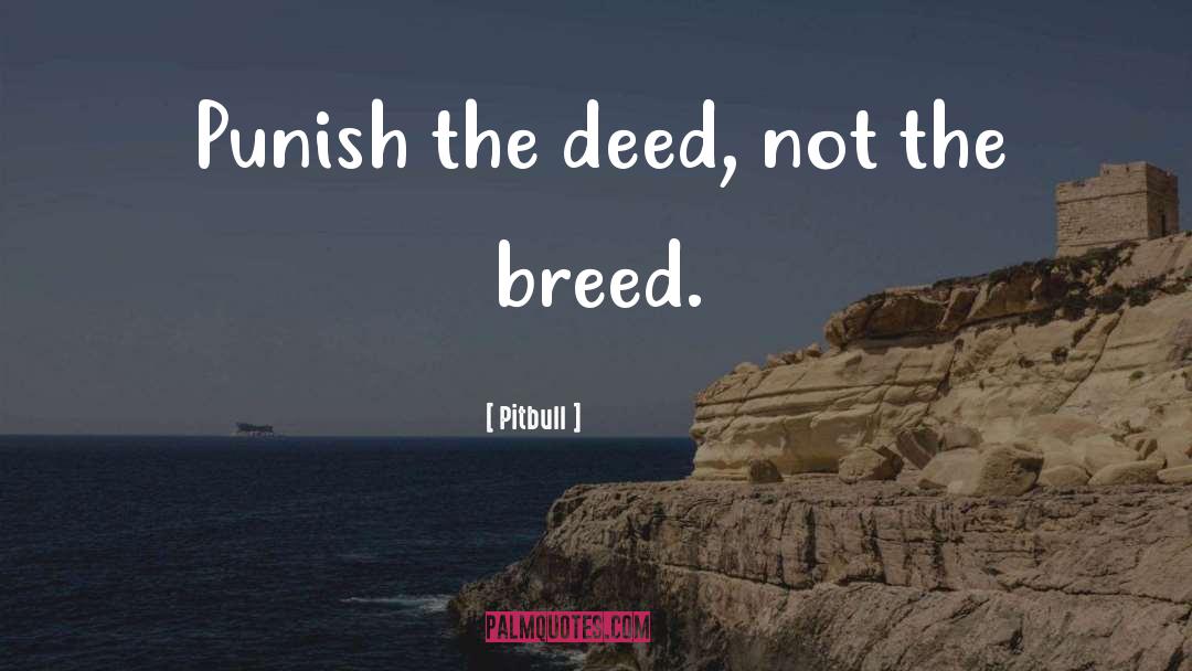 Pitbull Quotes: Punish the deed, not the