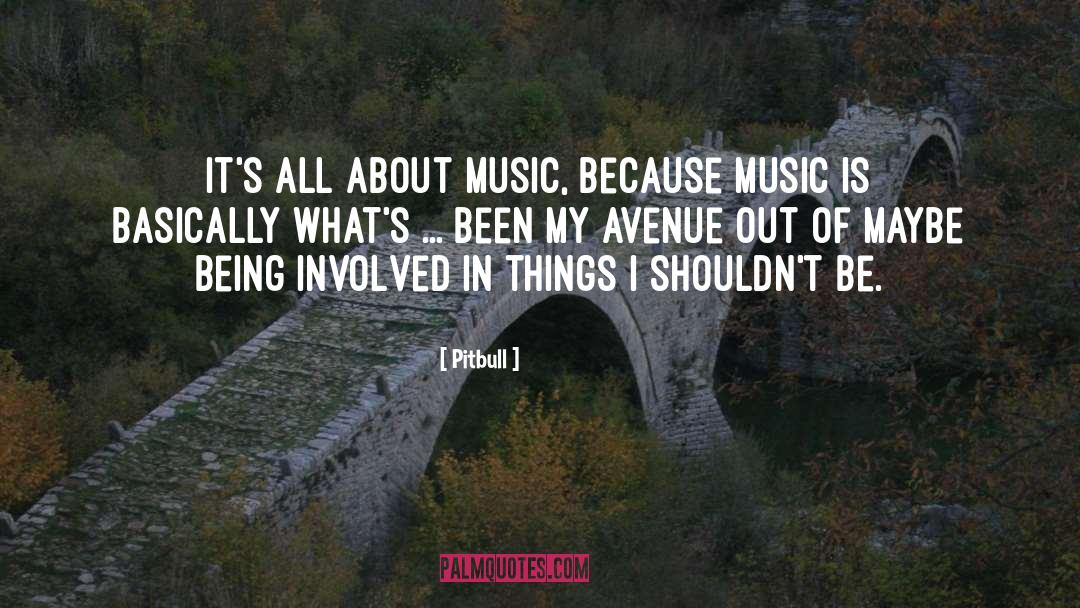 Pitbull Quotes: It's all about music, because