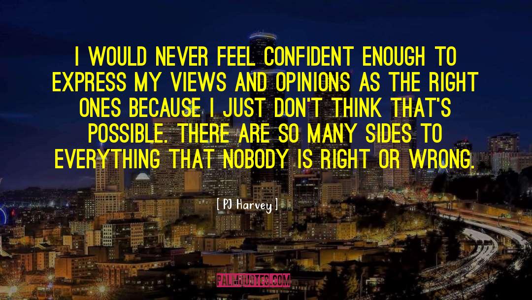 PJ Harvey Quotes: I would never feel confident