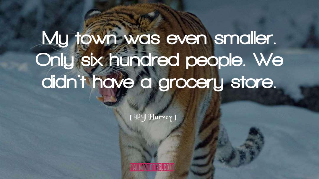 PJ Harvey Quotes: My town was even smaller.