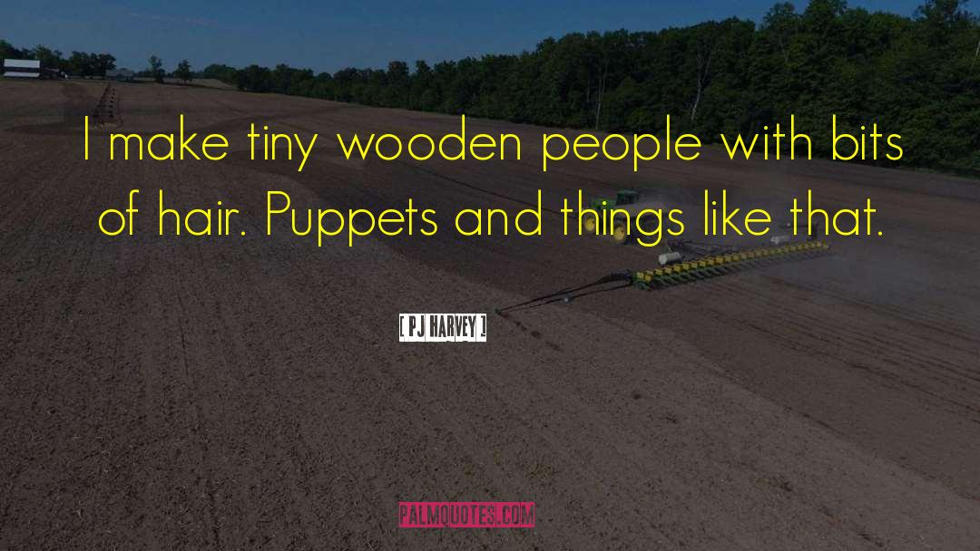 PJ Harvey Quotes: I make tiny wooden people