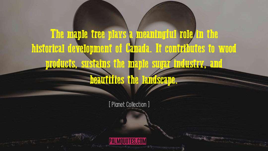 Planet Collection Quotes: The maple tree plays a