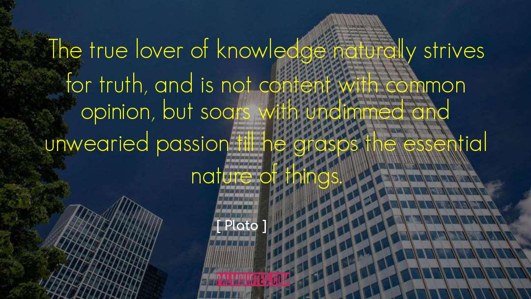 Plato Quotes: The true lover of knowledge