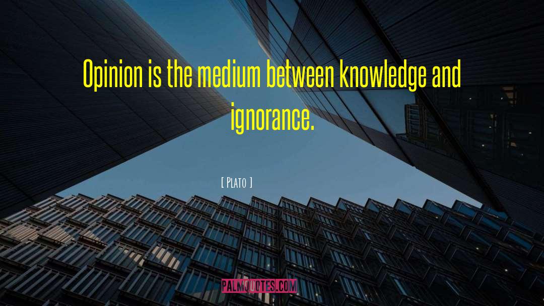 Plato Quotes: Opinion is the medium between