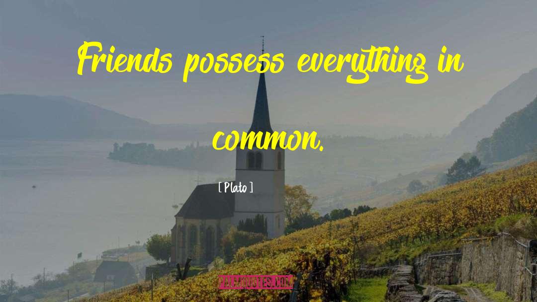 Plato Quotes: Friends possess everything in common.