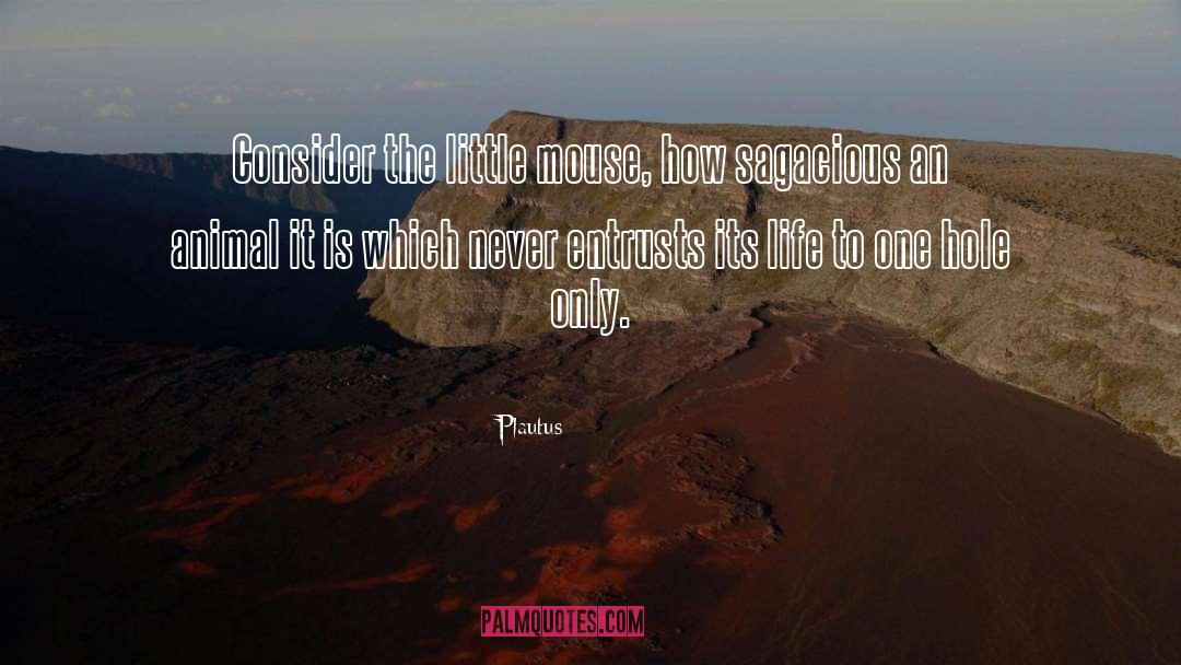 Plautus Quotes: Consider the little mouse, how