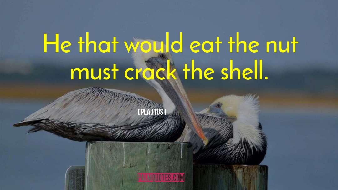 Plautus Quotes: He that would eat the