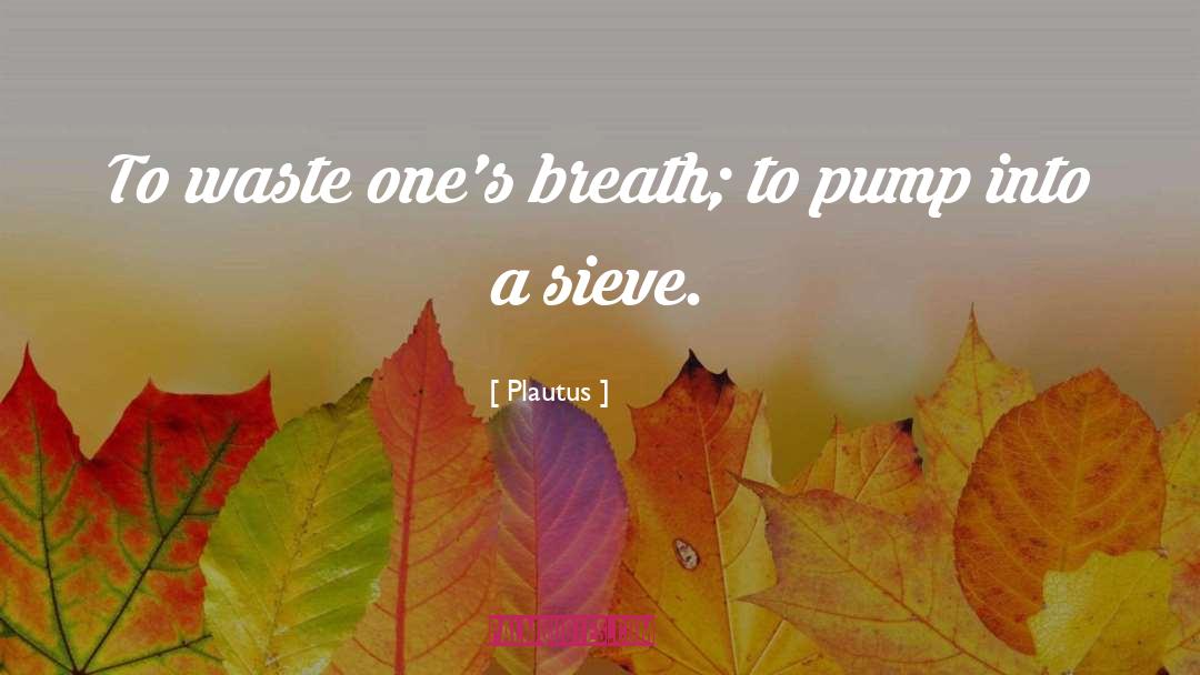 Plautus Quotes: To waste one's breath; to