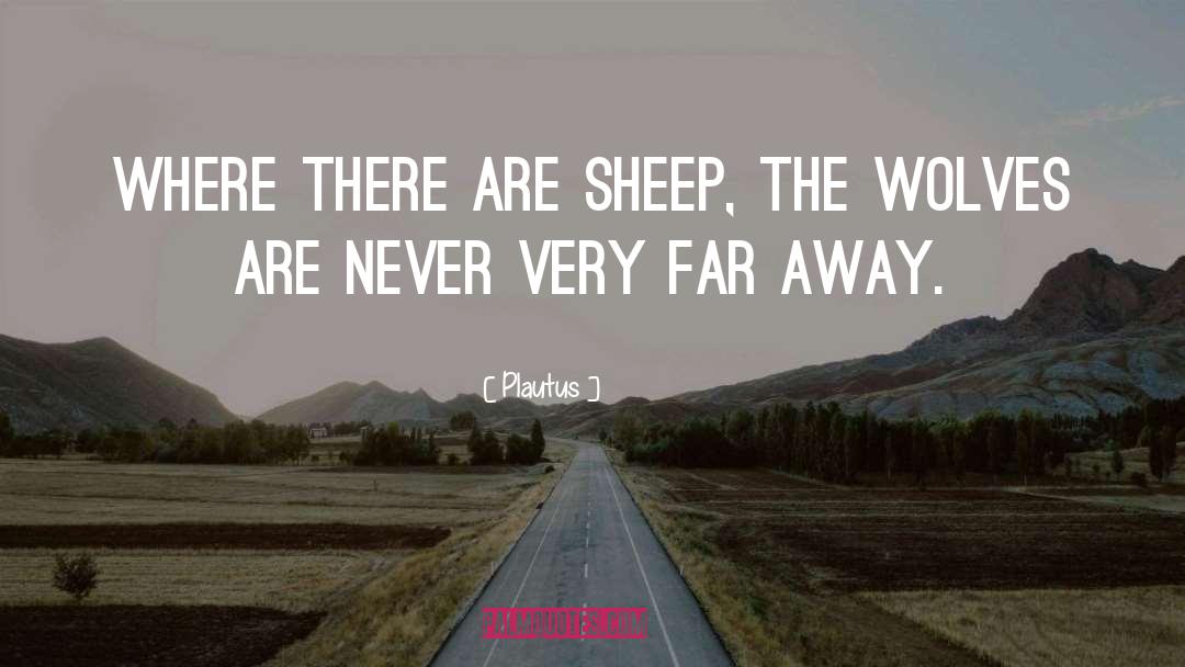 Plautus Quotes: Where there are sheep, the