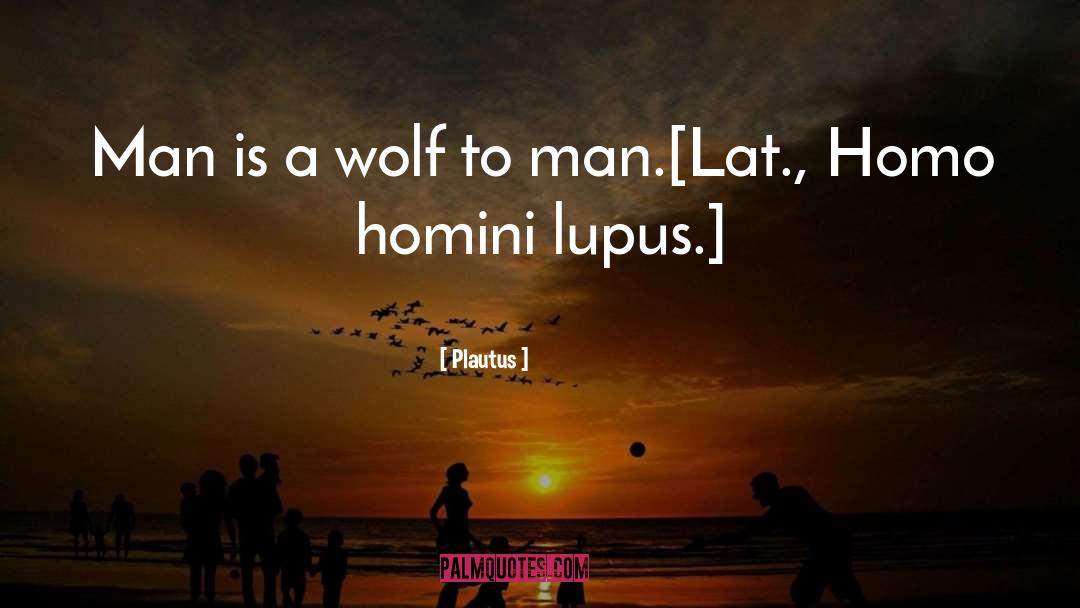 Plautus Quotes: Man is a wolf to