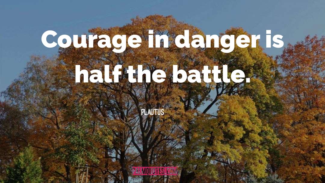 Plautus Quotes: Courage in danger is half