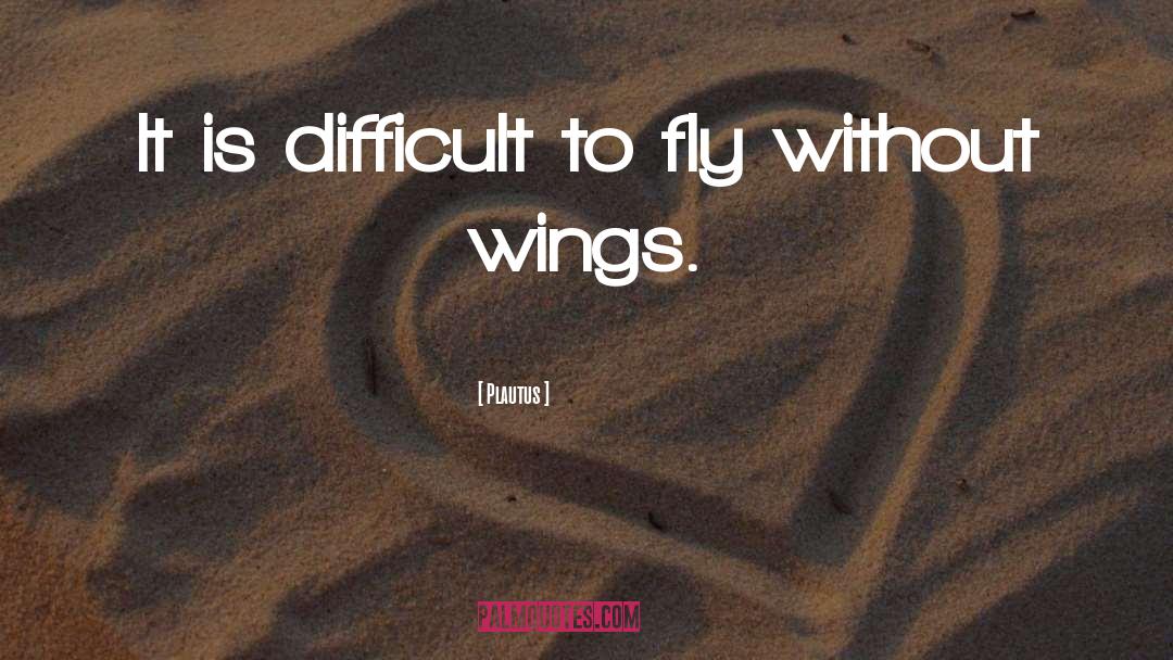 Plautus Quotes: It is difficult to fly