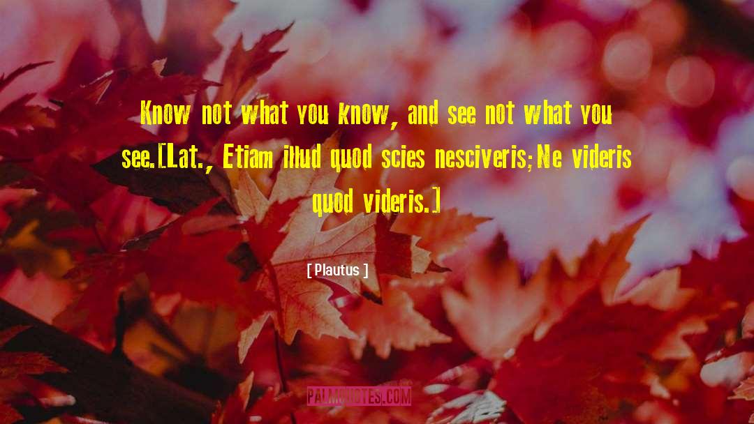 Plautus Quotes: Know not what you know,