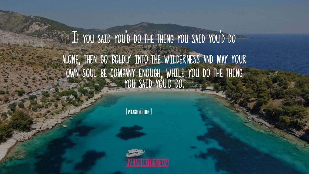 Pleasefindthis Quotes: If you said you'd do