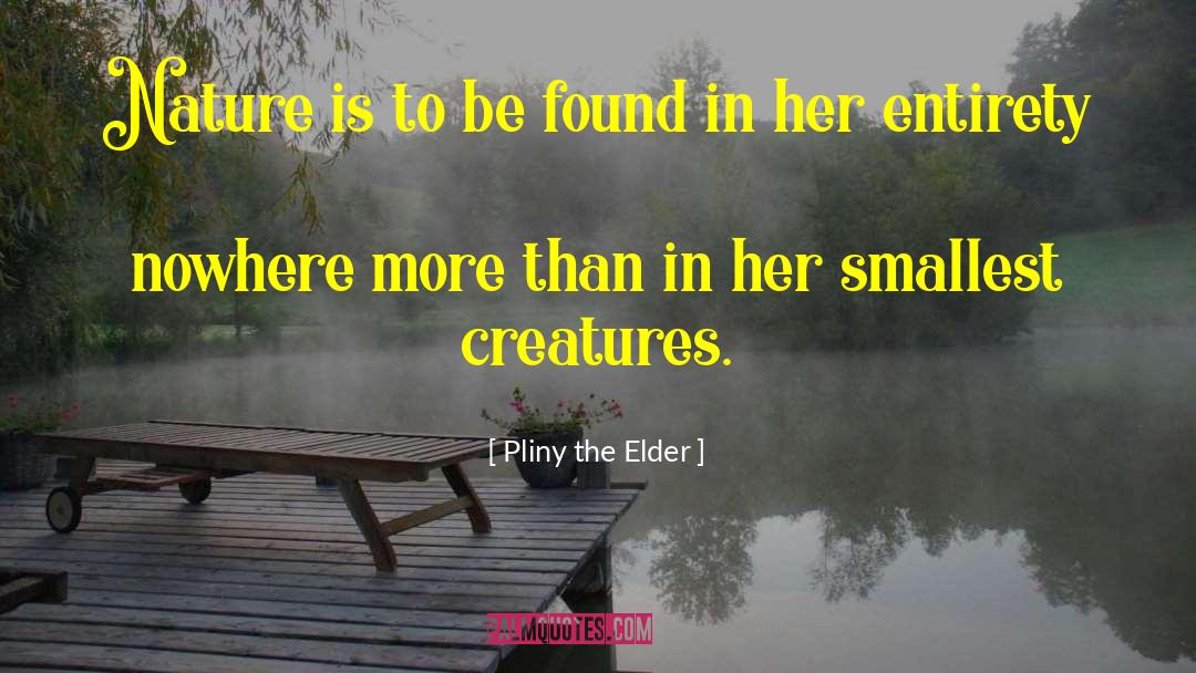 Pliny The Elder Quotes: Nature is to be found