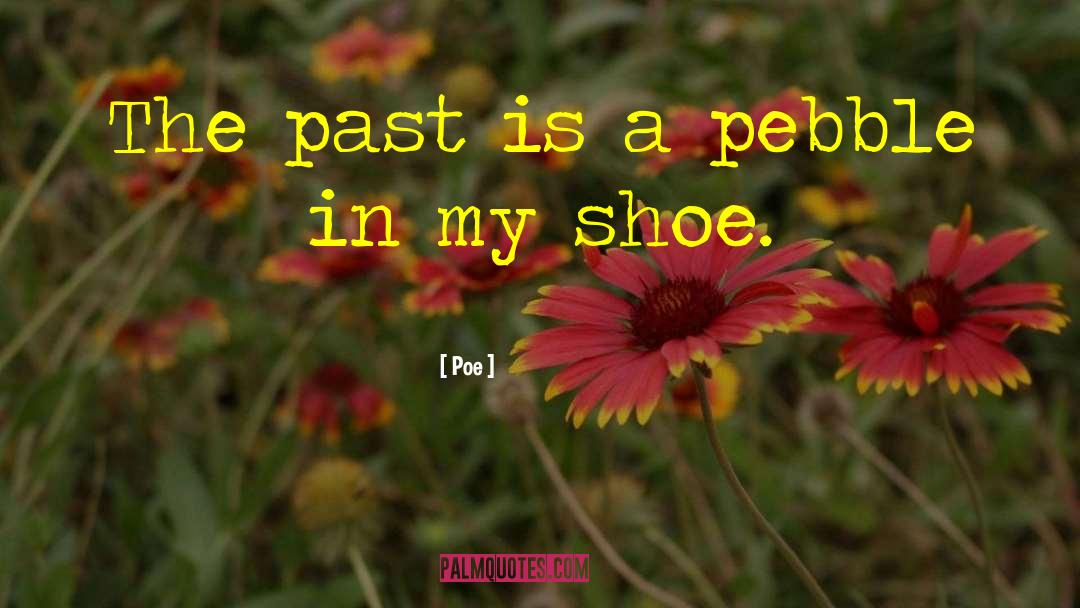 Poe Quotes: The past is a pebble