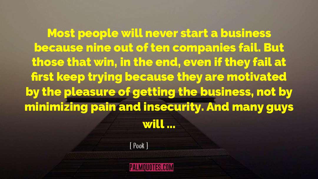 Pook Quotes: Most people will never start