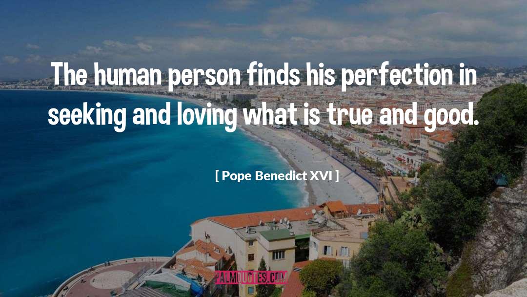 Pope Benedict XVI Quotes: The human person finds his