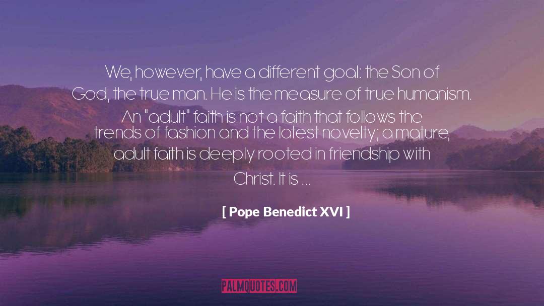 Pope Benedict XVI Quotes: We, however, have a different