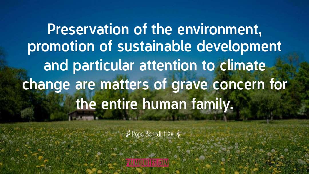 Pope Benedict XVI Quotes: Preservation of the environment, promotion