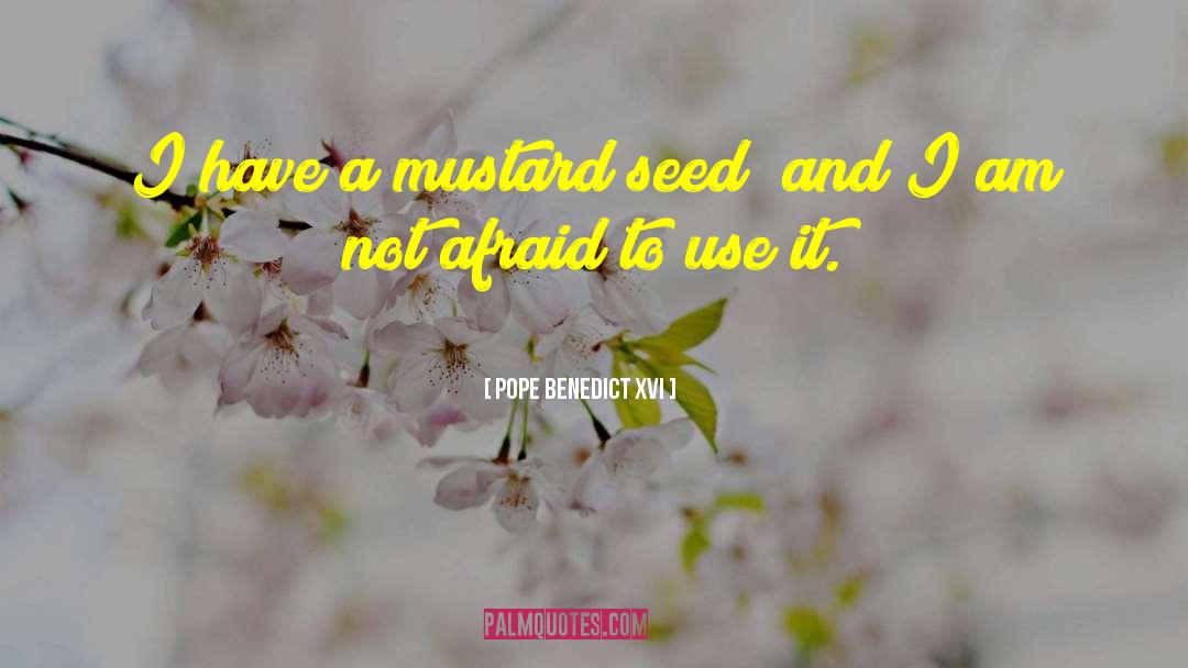 Pope Benedict XVI Quotes: I have a mustard seed;
