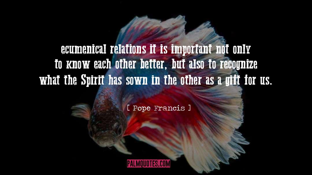 Pope Francis Quotes: ecumenical relations it is important