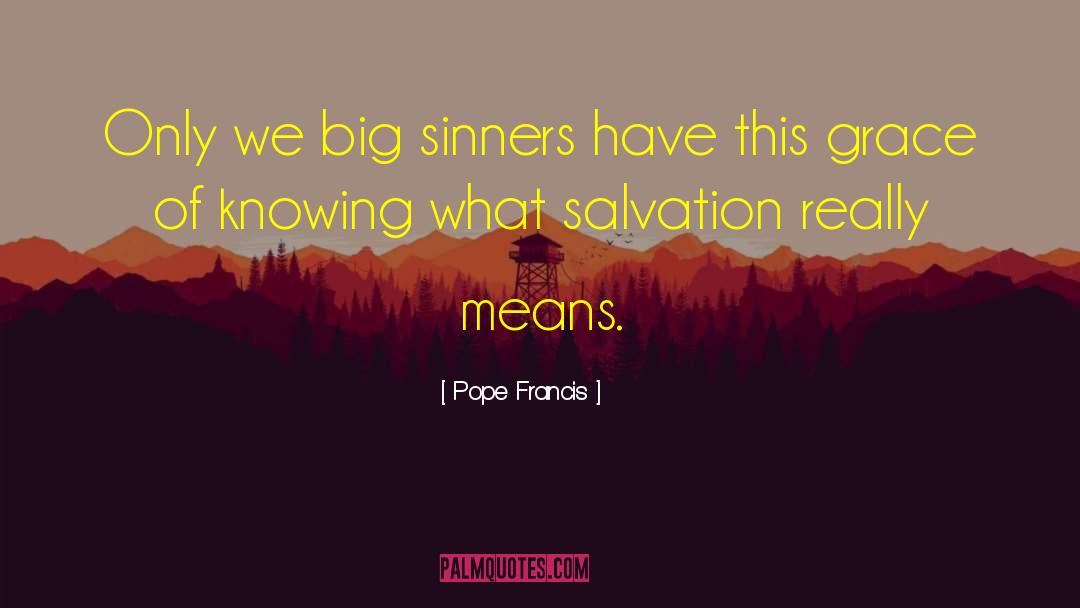Pope Francis Quotes: Only we big sinners have