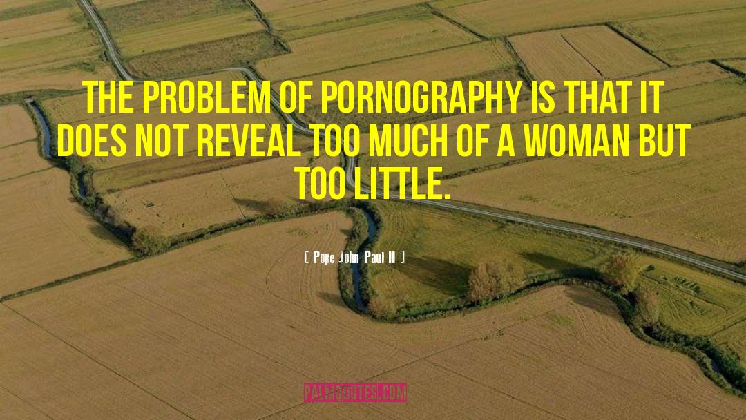 Pope John Paul II Quotes: The problem of pornography is