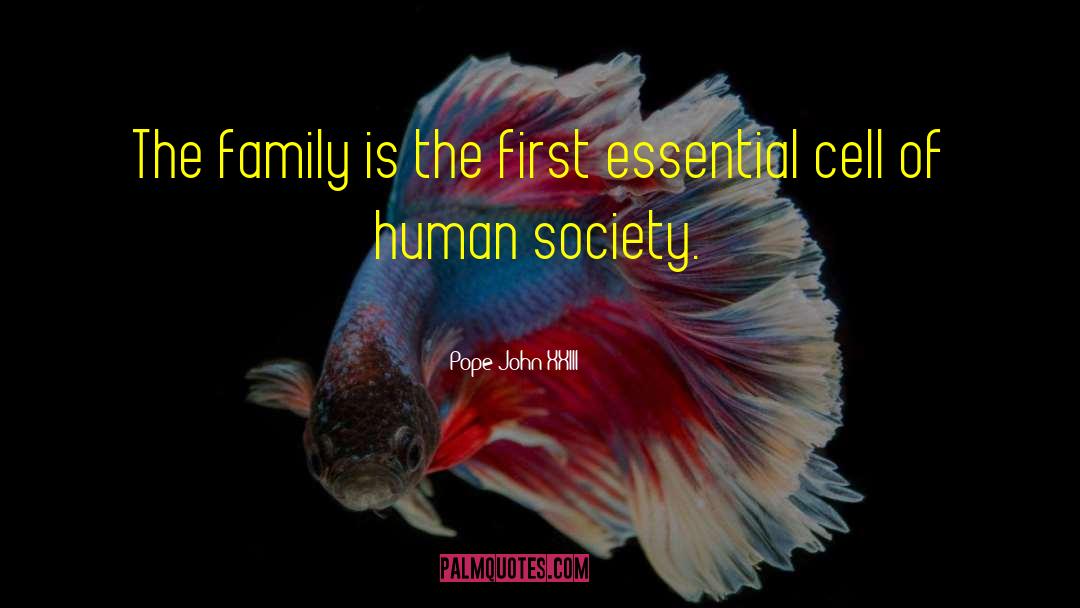 Pope John XXIII Quotes: The family is the first