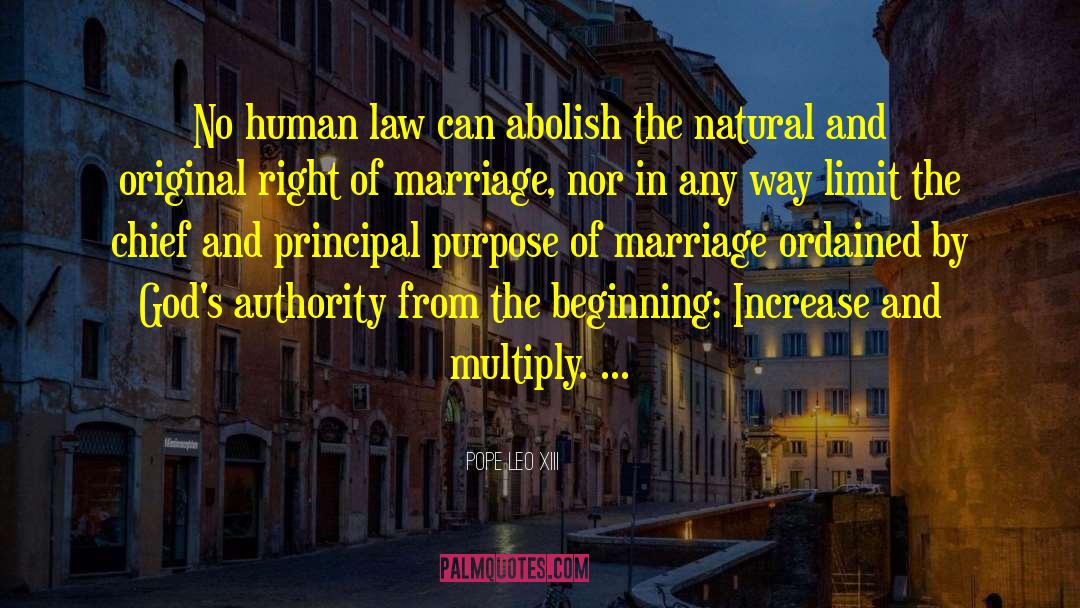 Pope Leo XIII Quotes: No human law can abolish