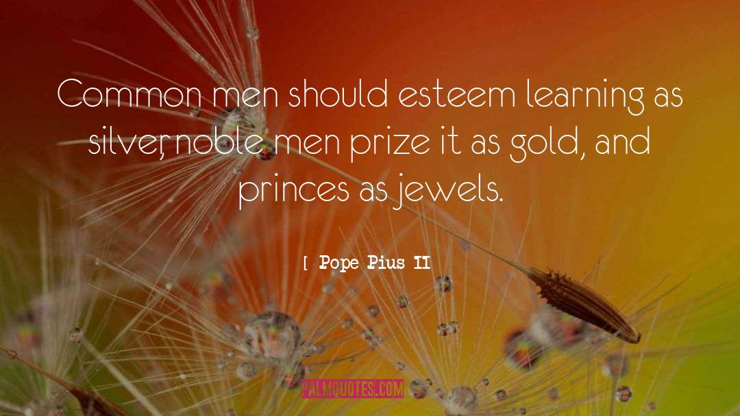 Pope Pius II Quotes: Common men should esteem learning