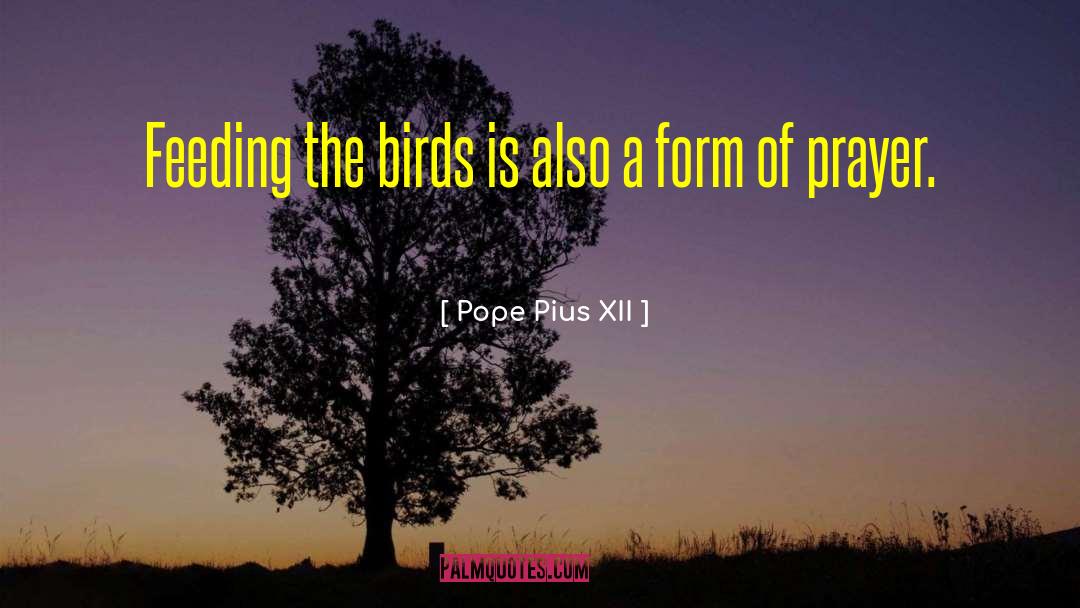 Pope Pius XII Quotes: Feeding the birds is also