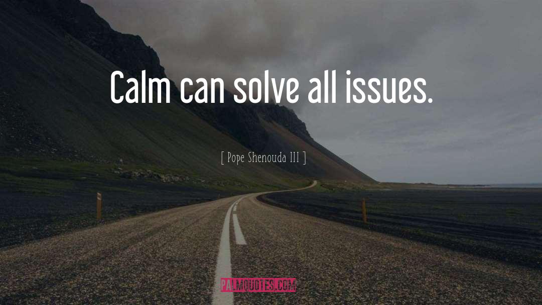 Pope Shenouda III Quotes: Calm can solve all issues.