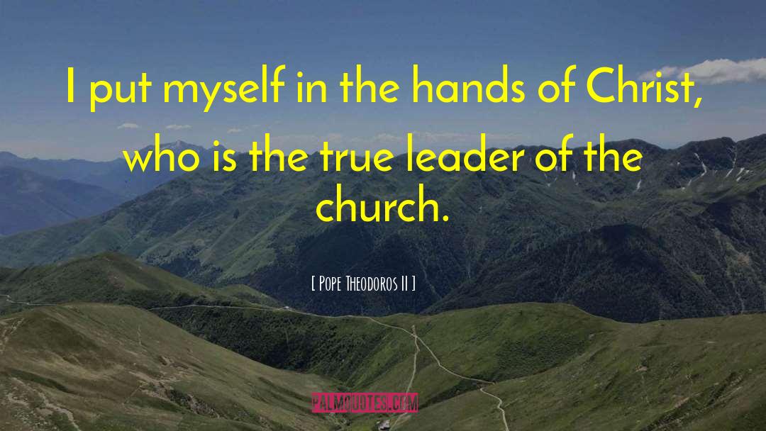 Pope Theodoros II Quotes: I put myself in the