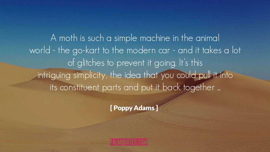 Poppy Adams Quotes: A moth is such a
