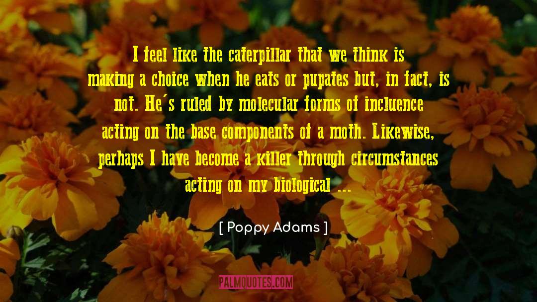 Poppy Adams Quotes: I feel like the caterpillar